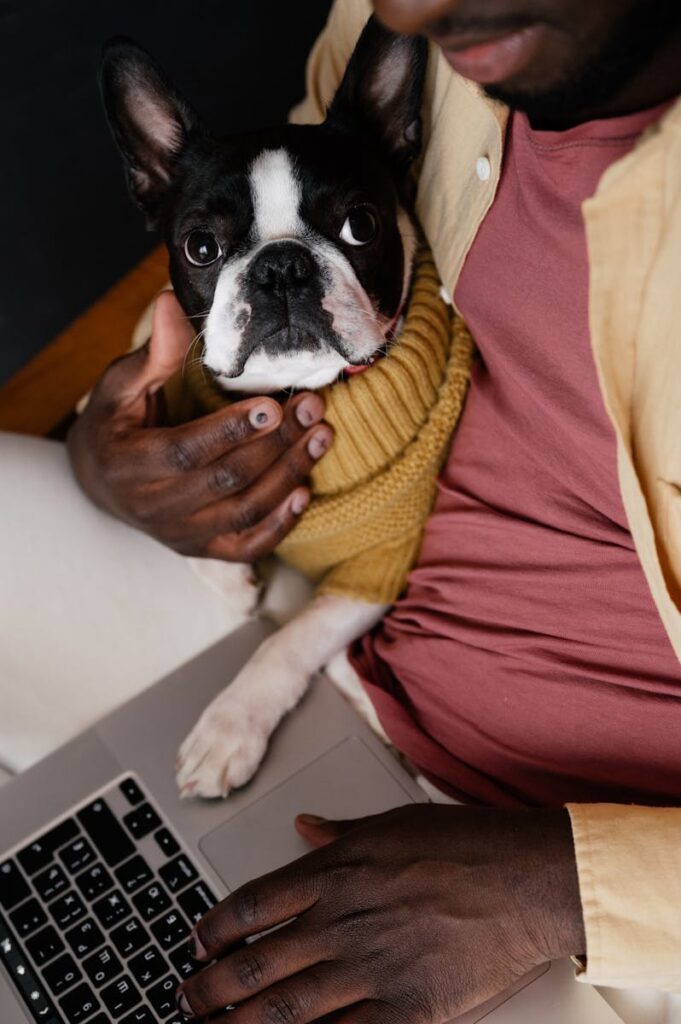 Crop black man with dog using laptop