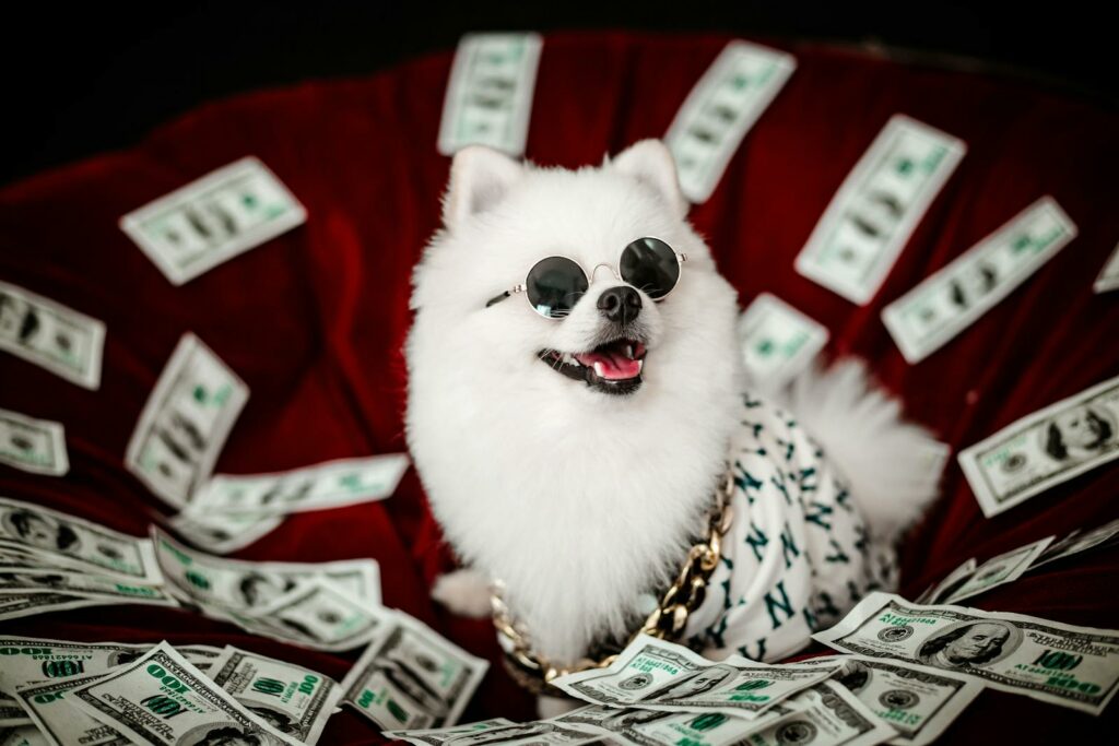 A white Pomeranian dog in sunglasses sits among dollar bills, exuding luxury and style.